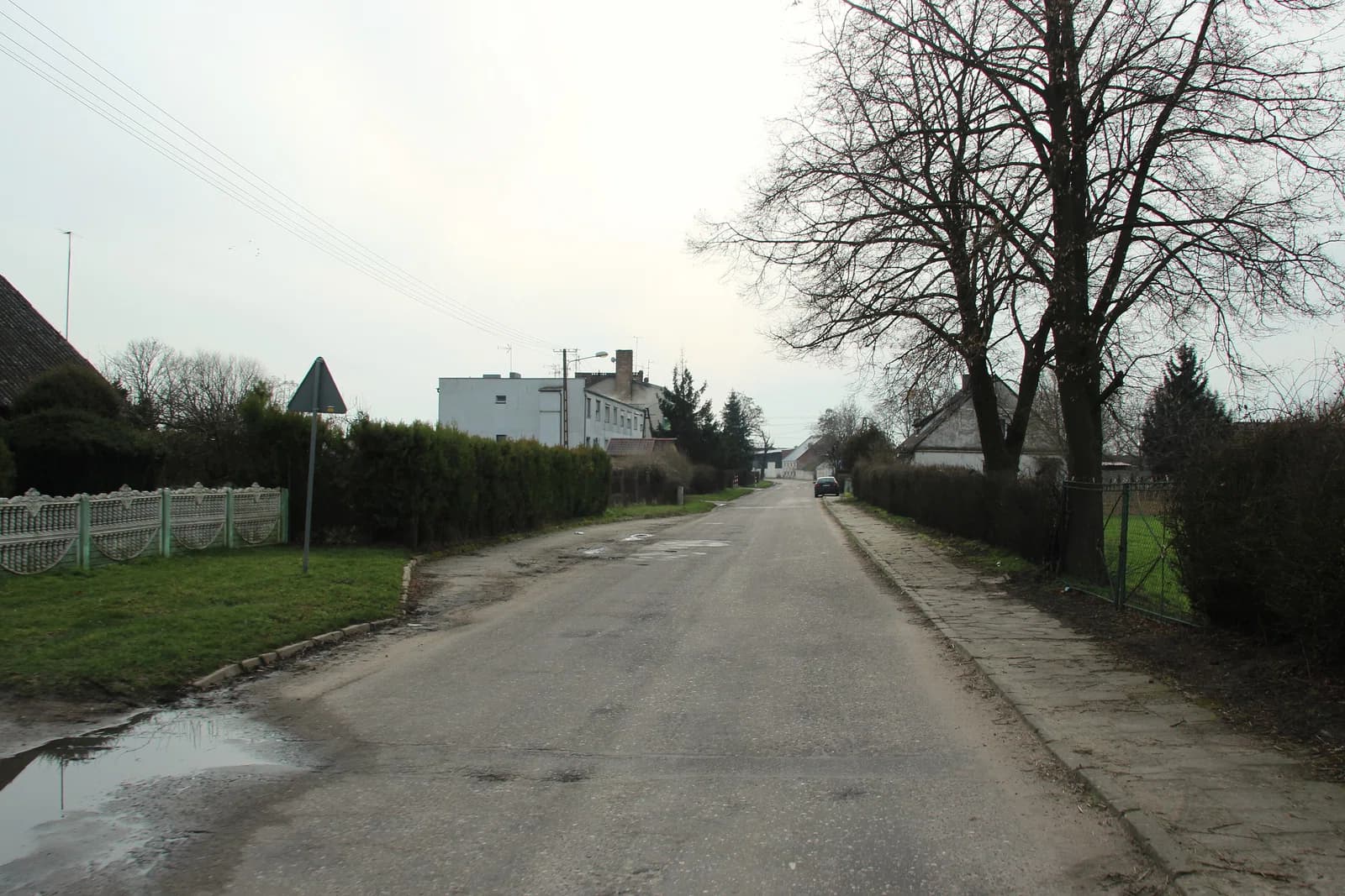 Witkowice