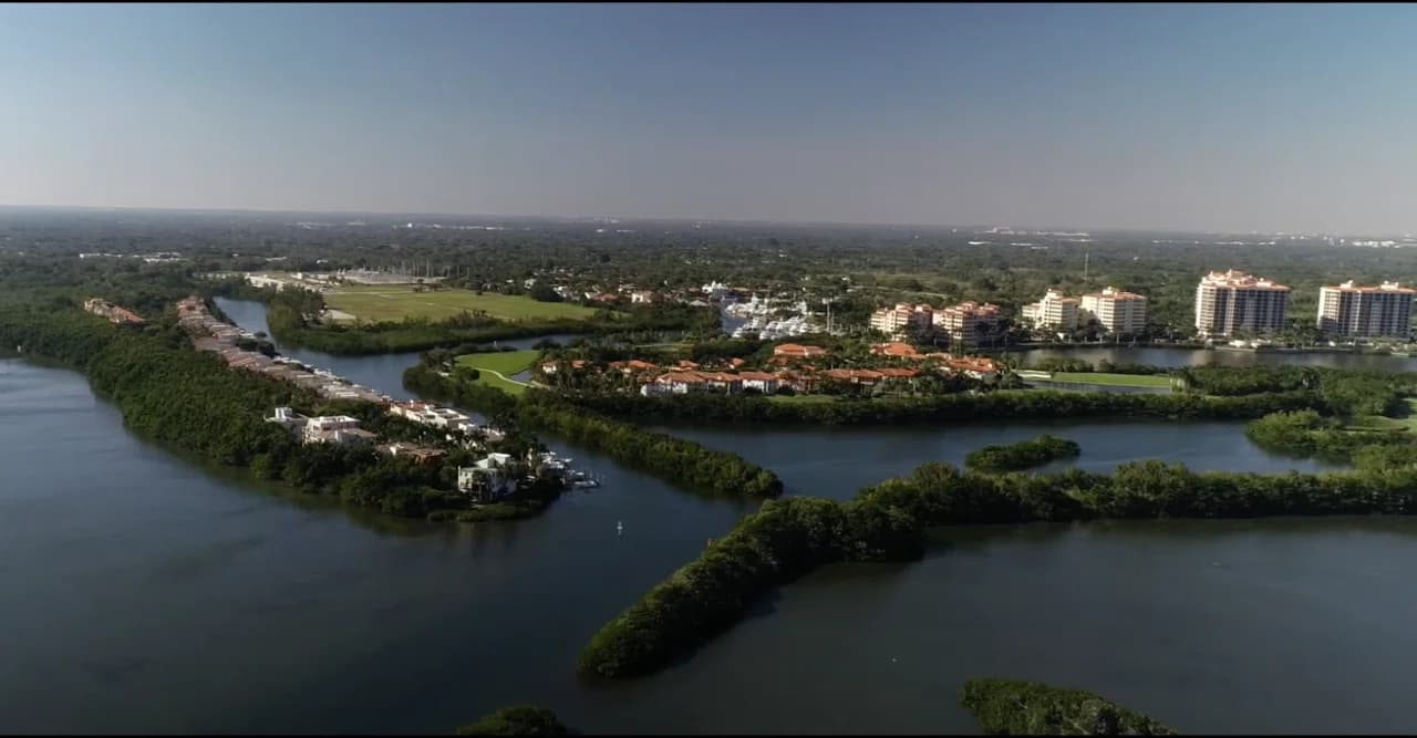 Palmetto Bay