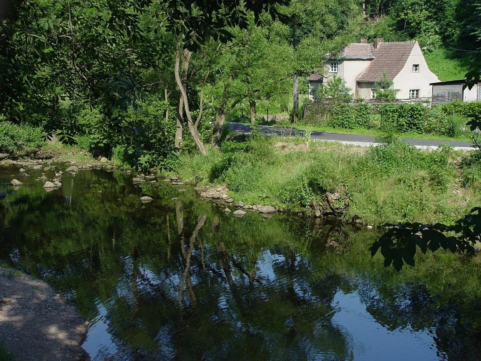 Lubachów
