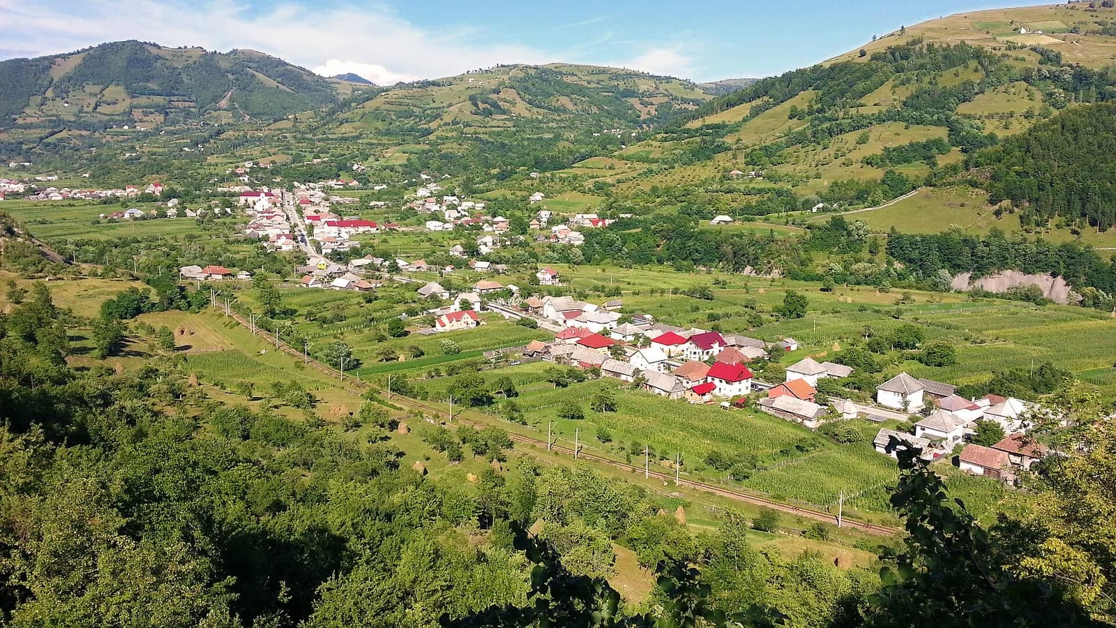Poiana Ilvei