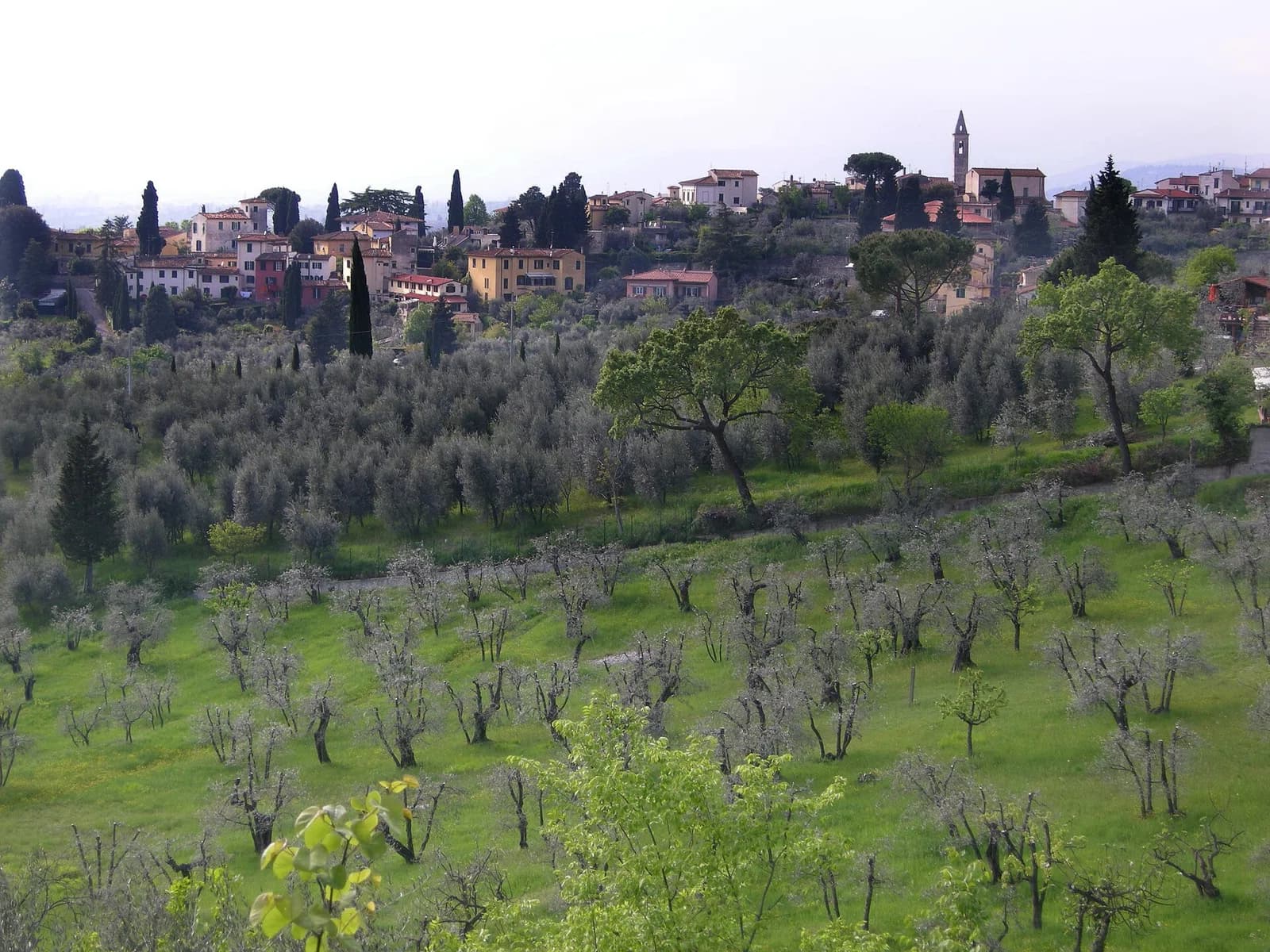 Settignano