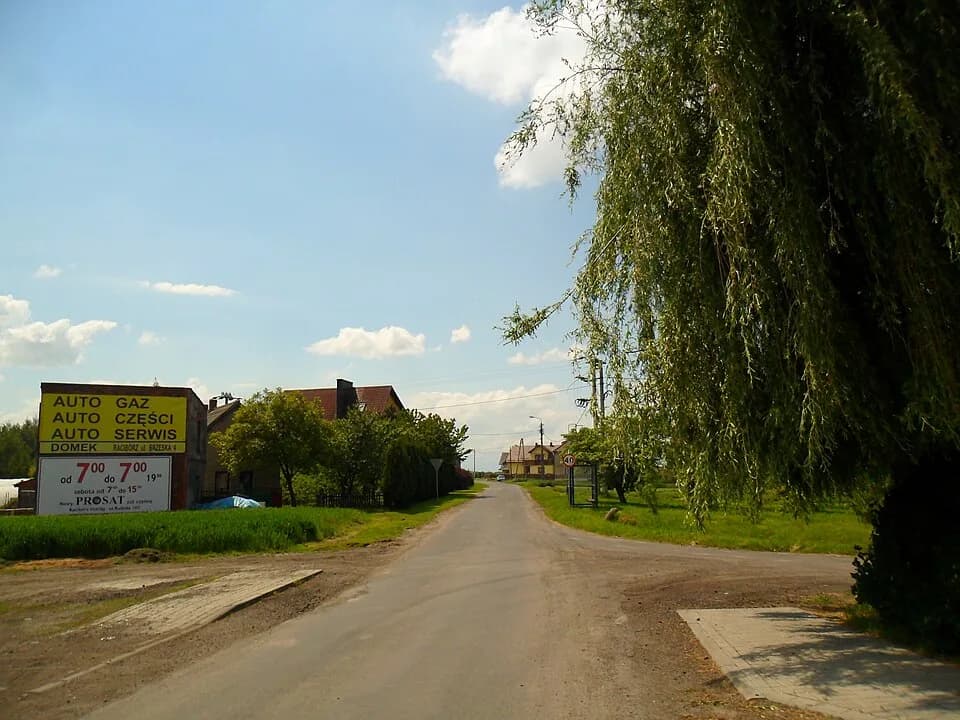 Żerdziny