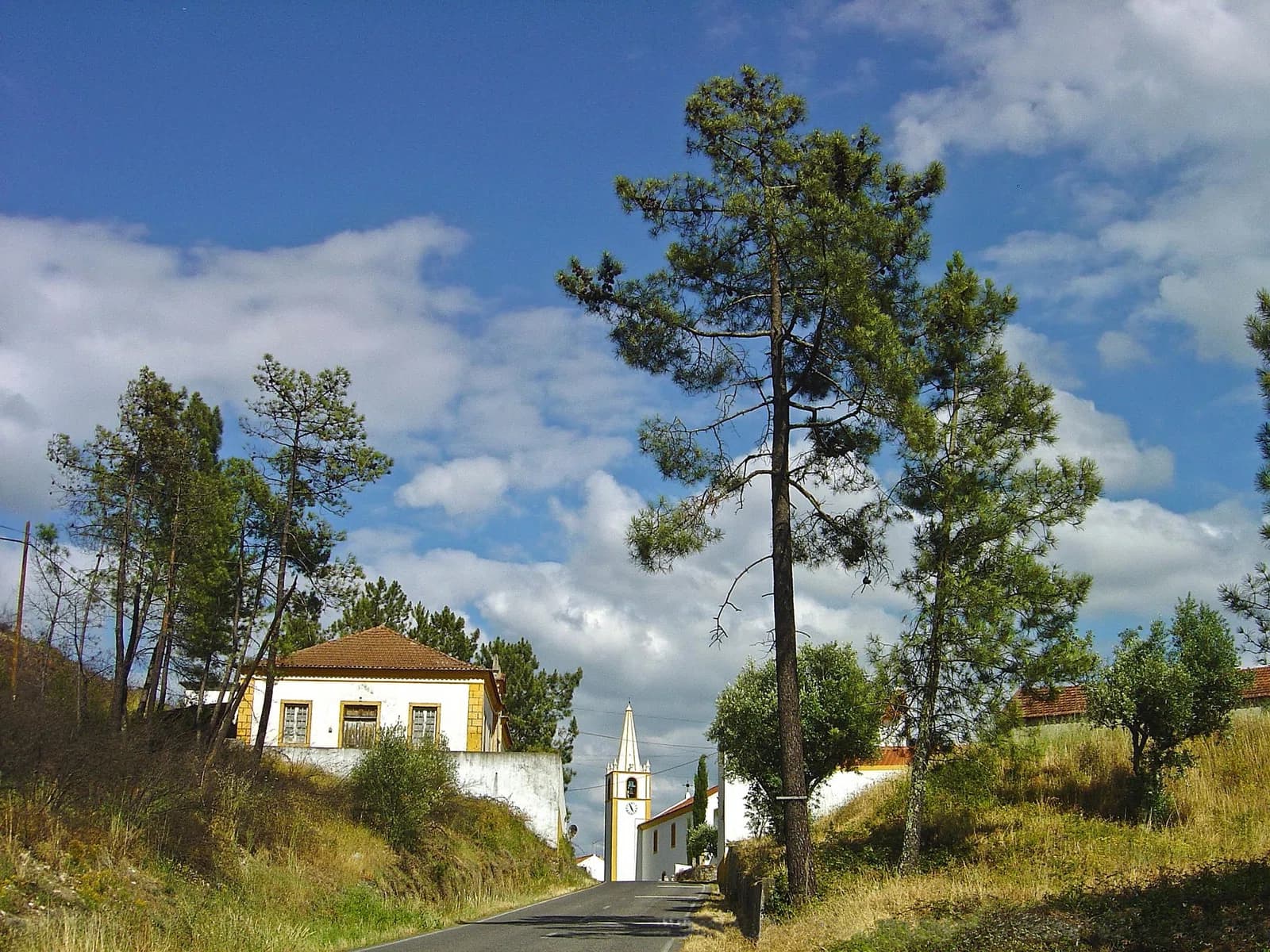 Alcaravela