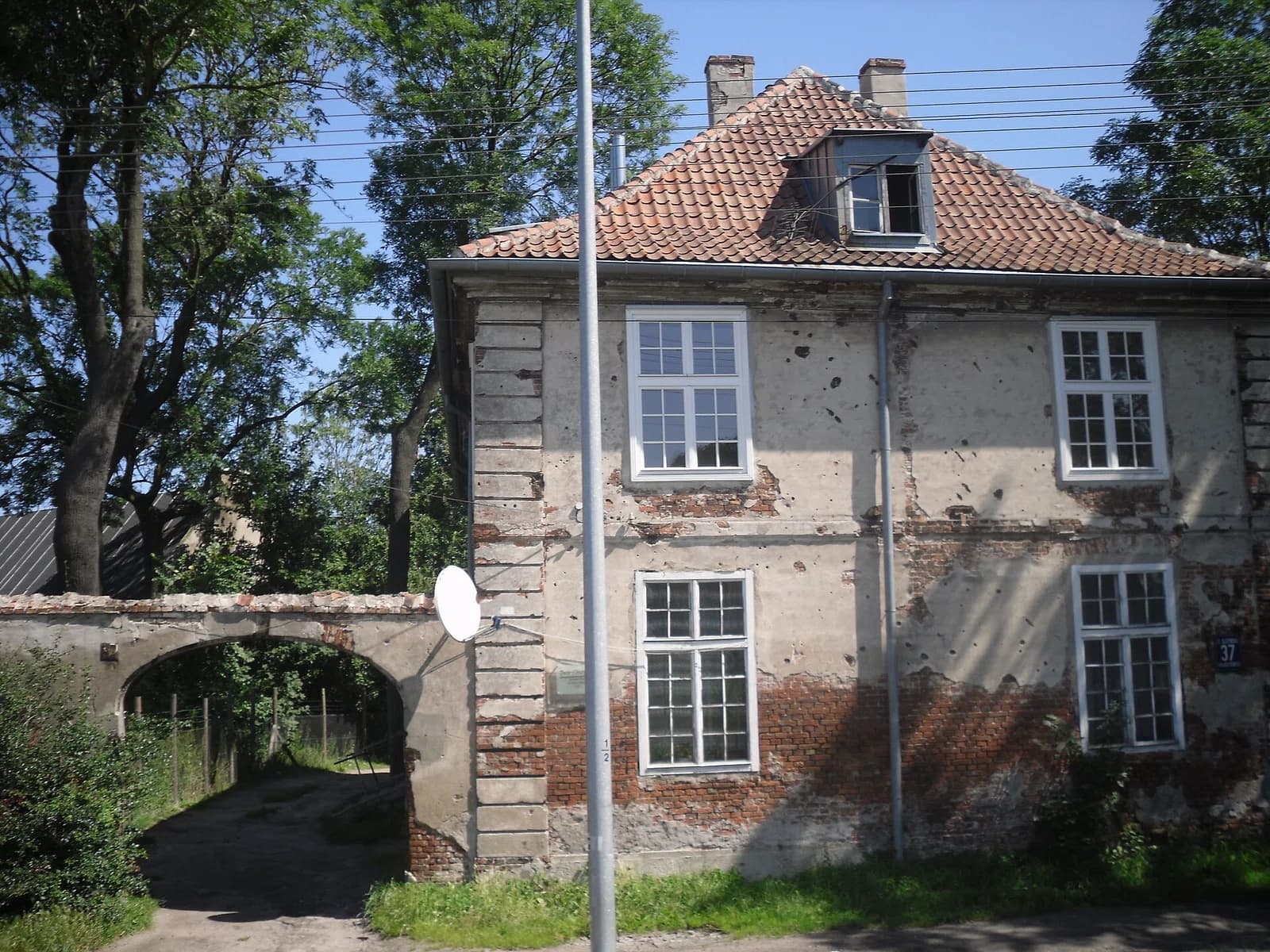 Olszynka