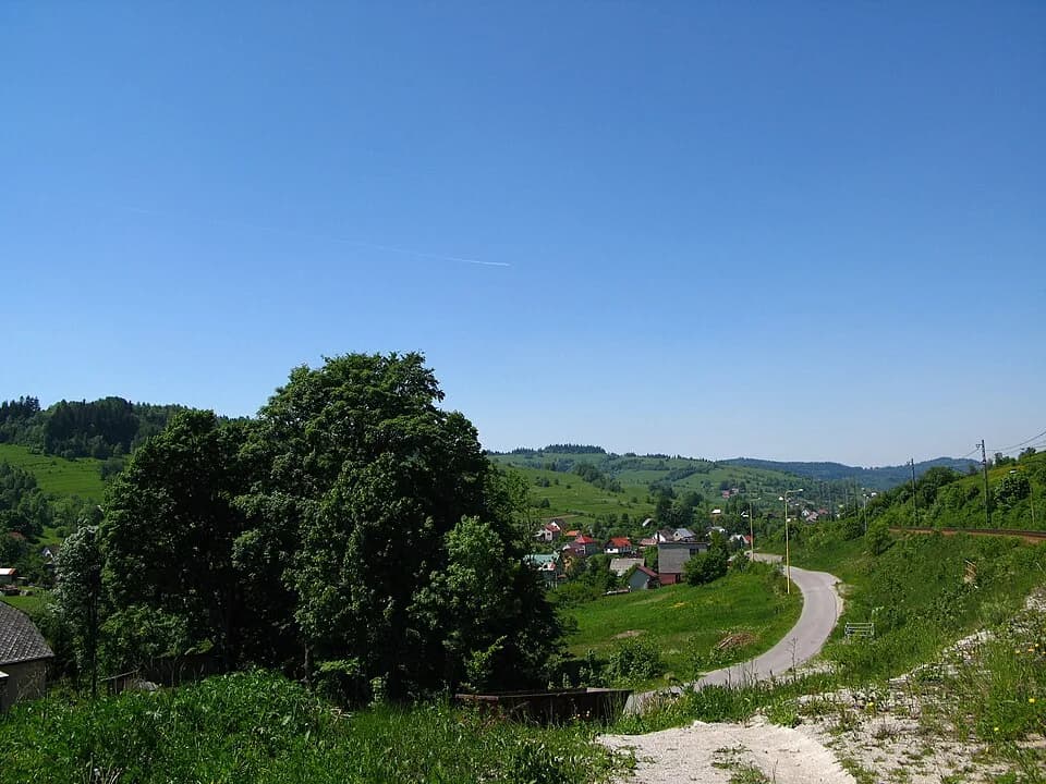 Skalité