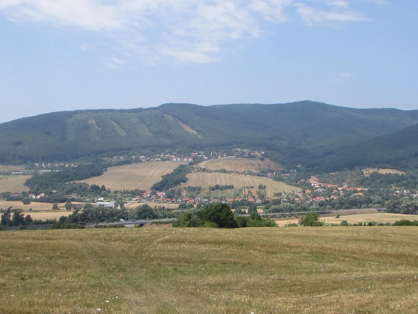 Orovnica