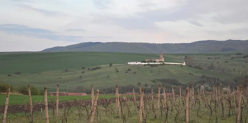 Gârbova