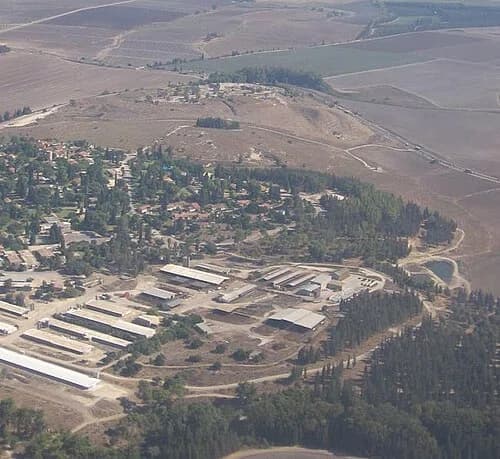 Megiddo