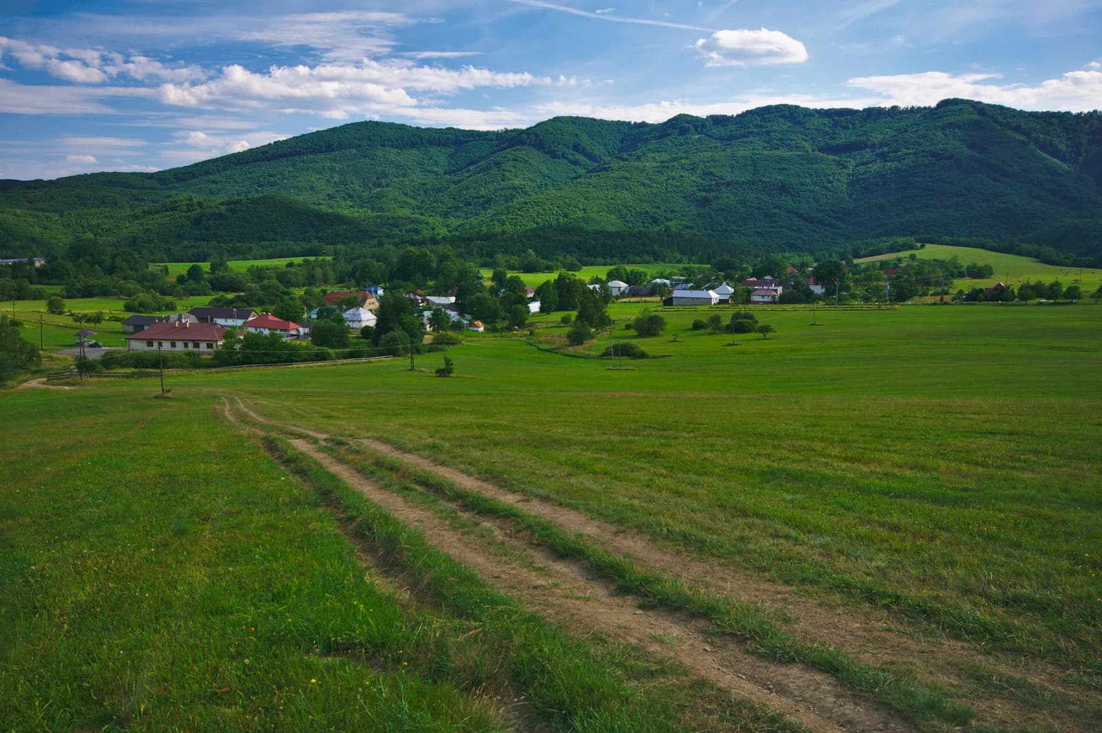 Runina