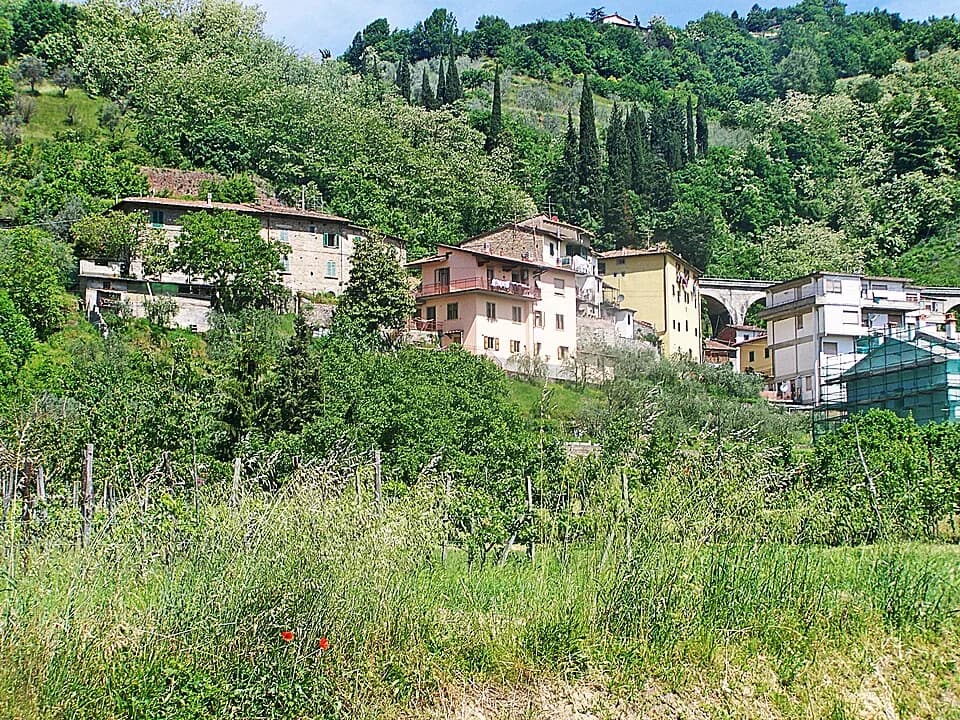 Ronta