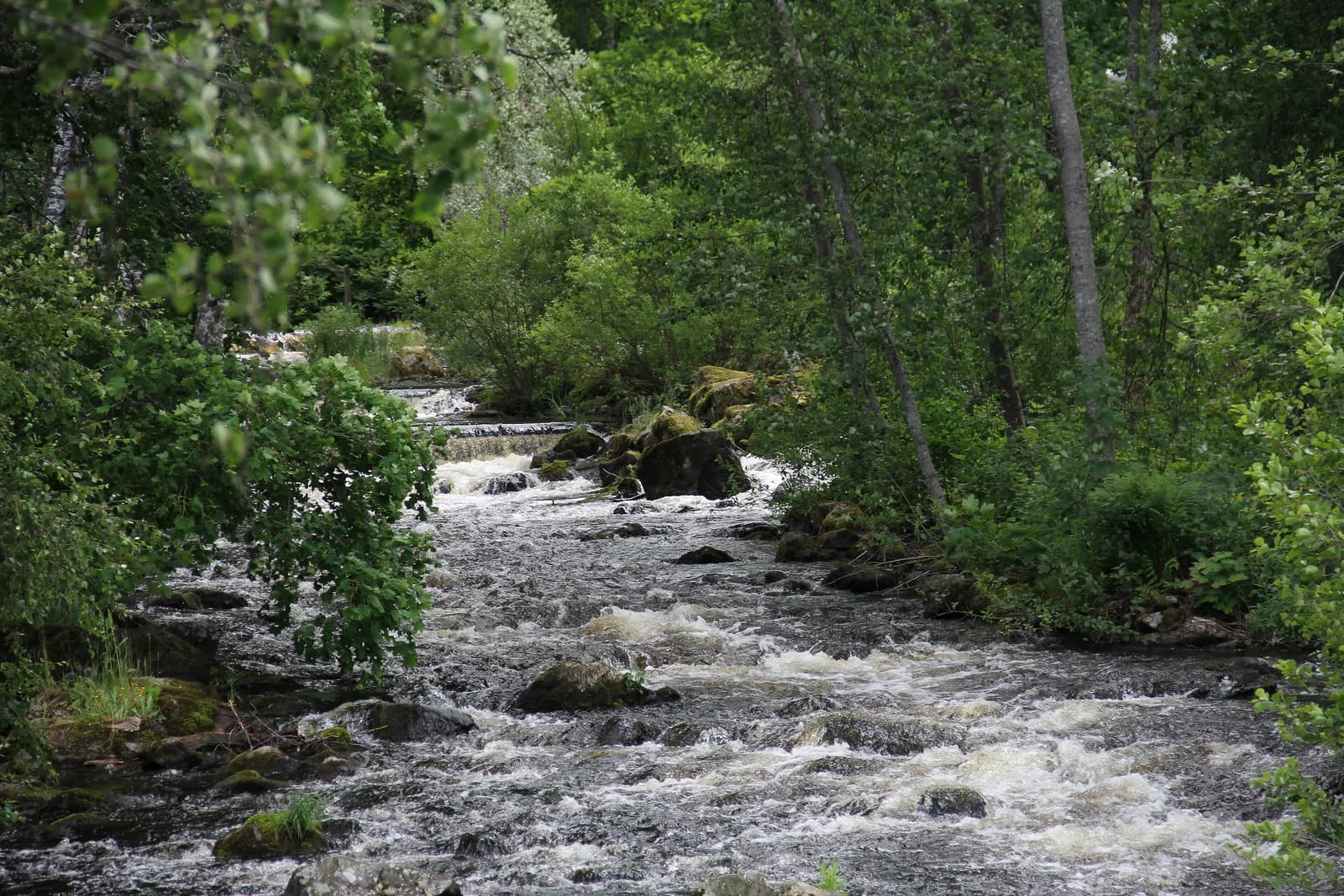 Enonkoski