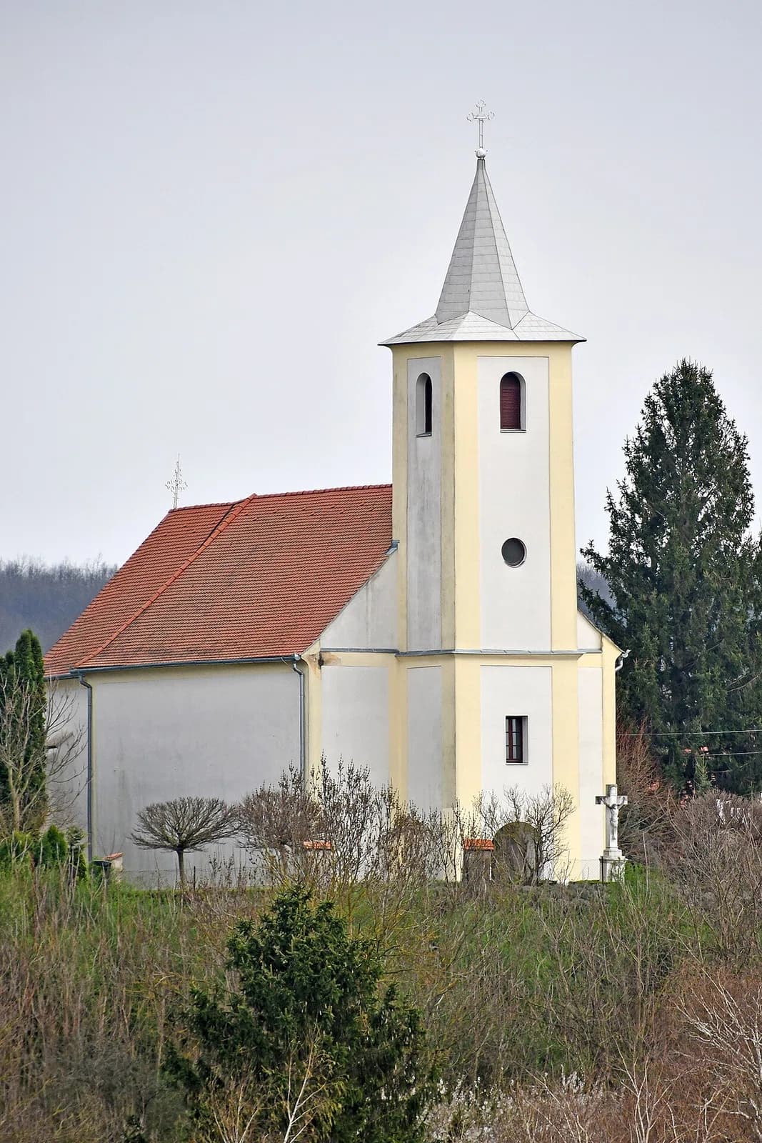 Olaszfa