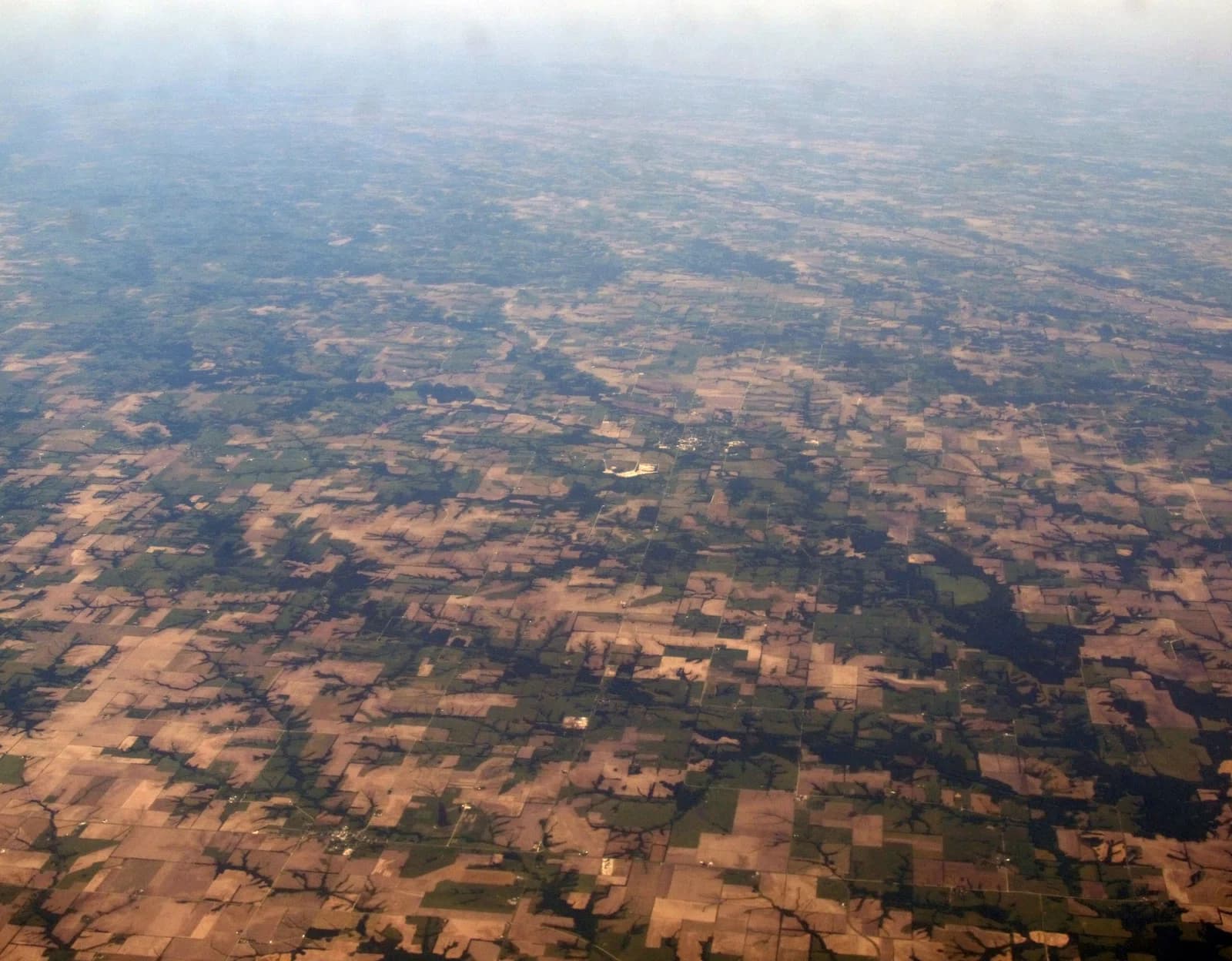 Edina