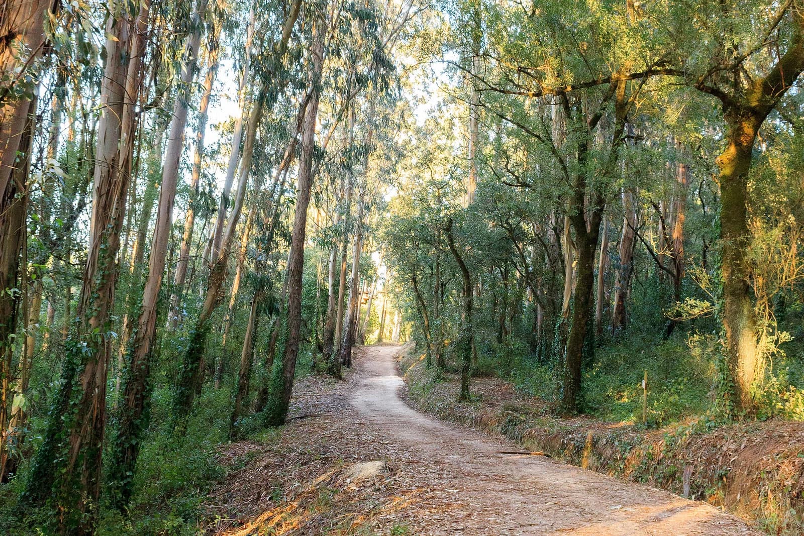 Cabeço de Montachique