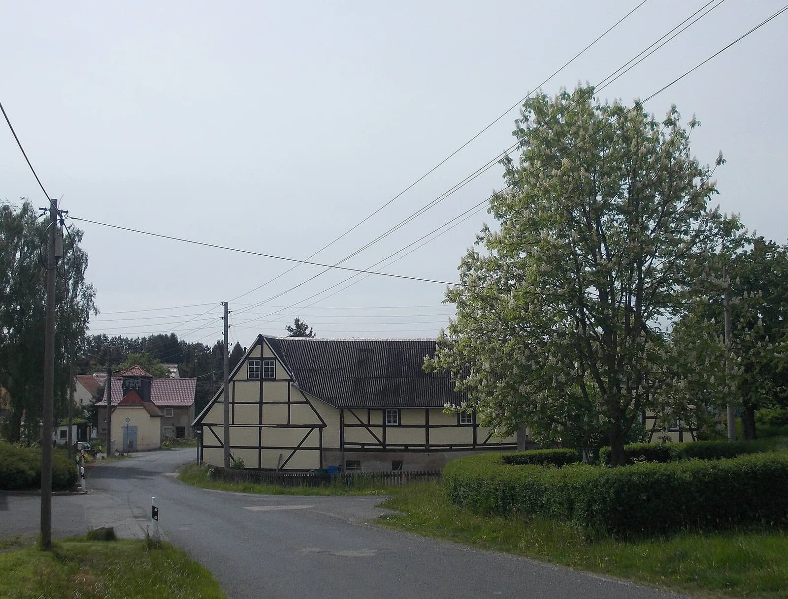 Wolkau
