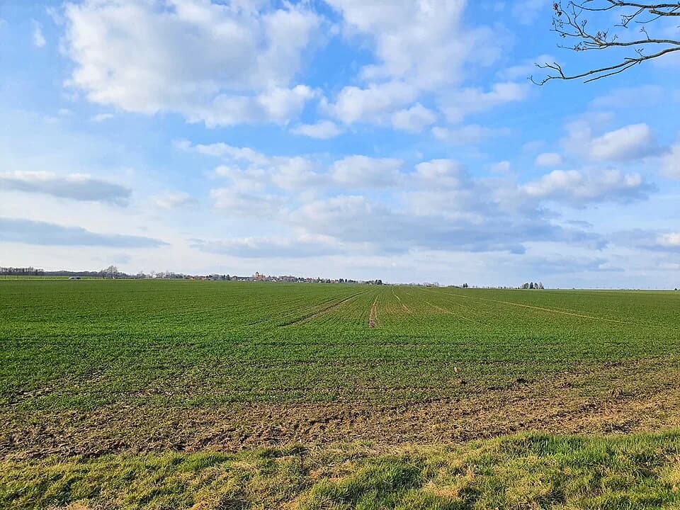 Polenz (Brandis)