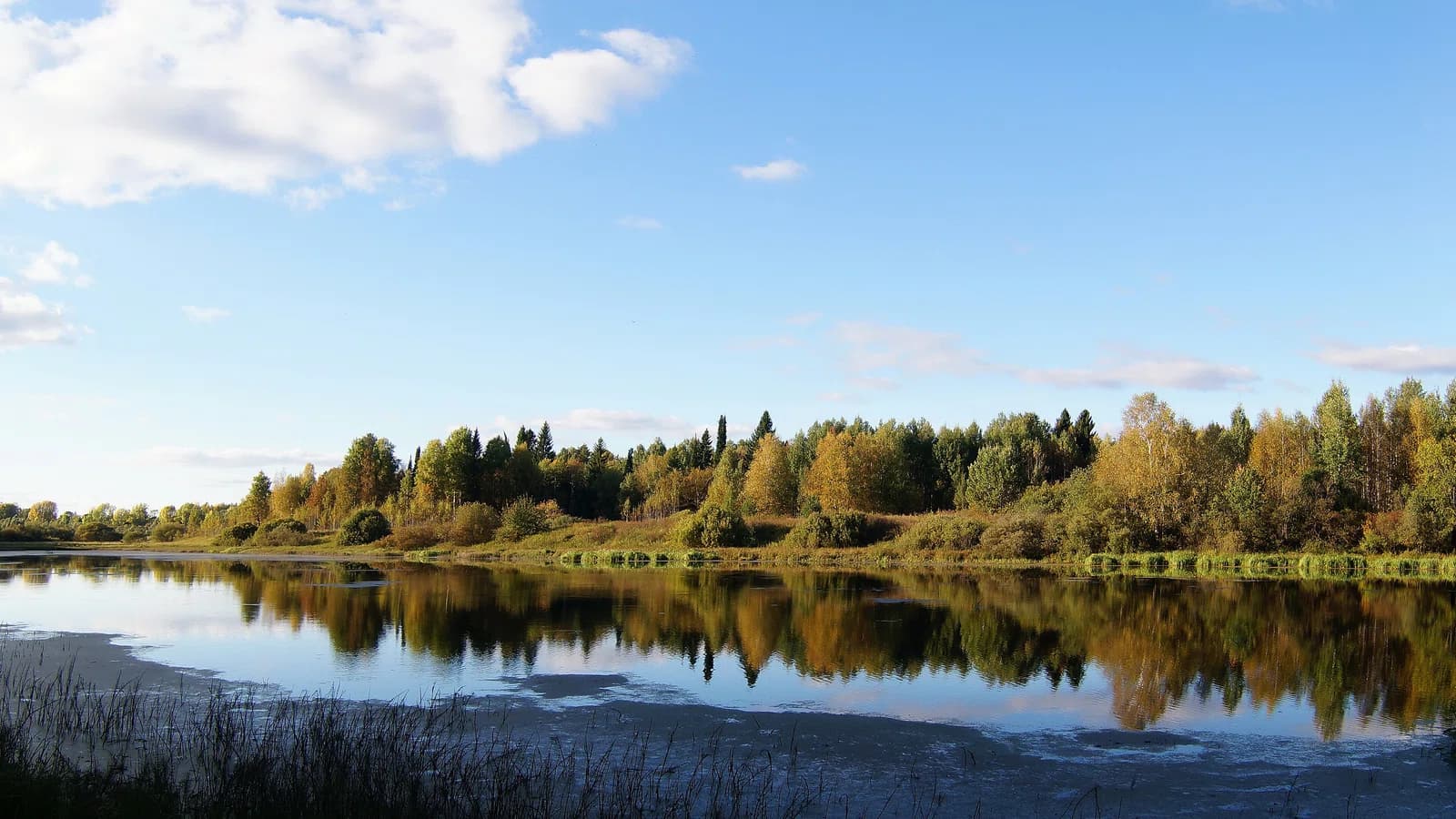 Kirovo-Chepetsky District