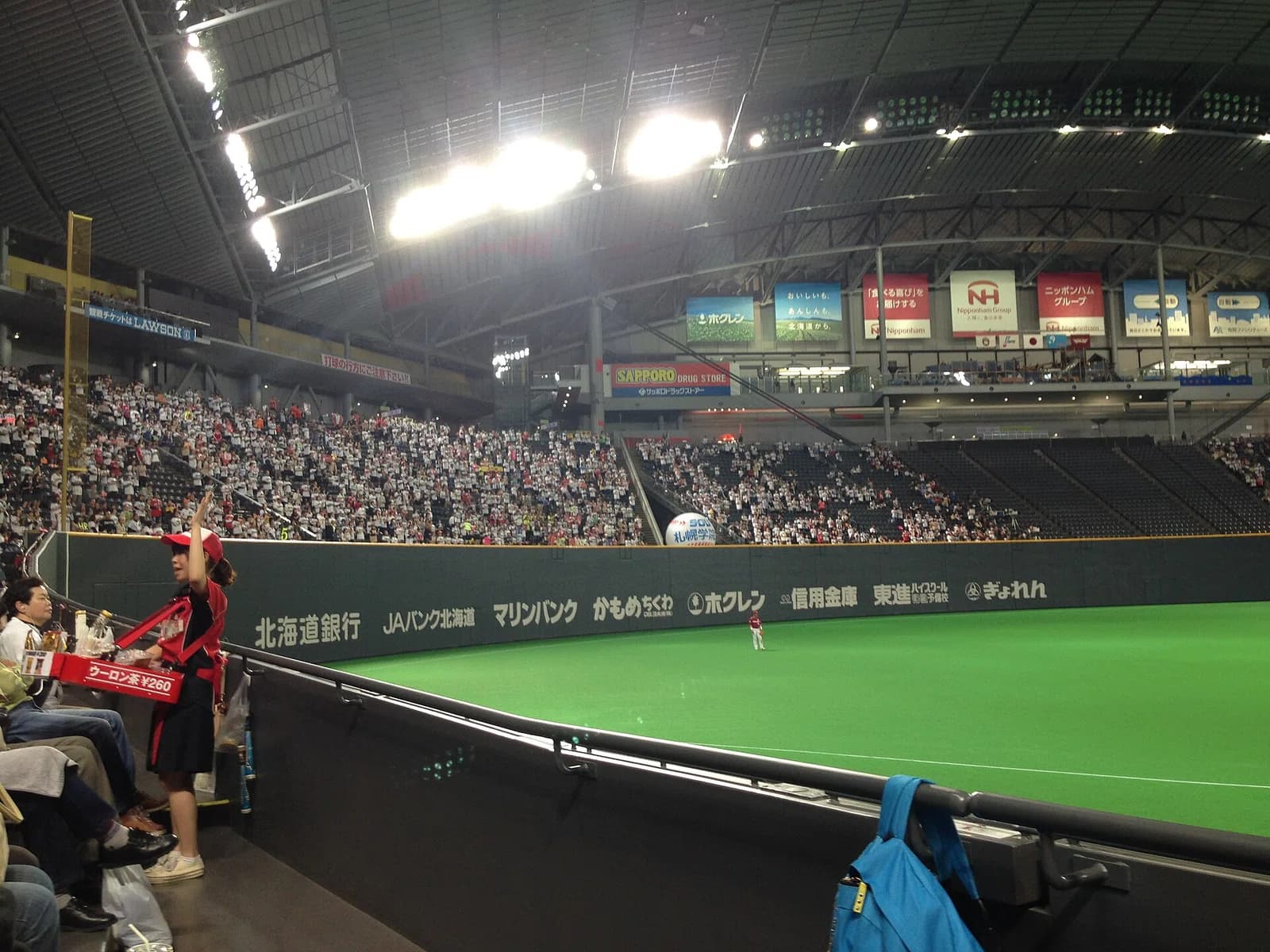 Hokkaidō Nippon Ham Fighters