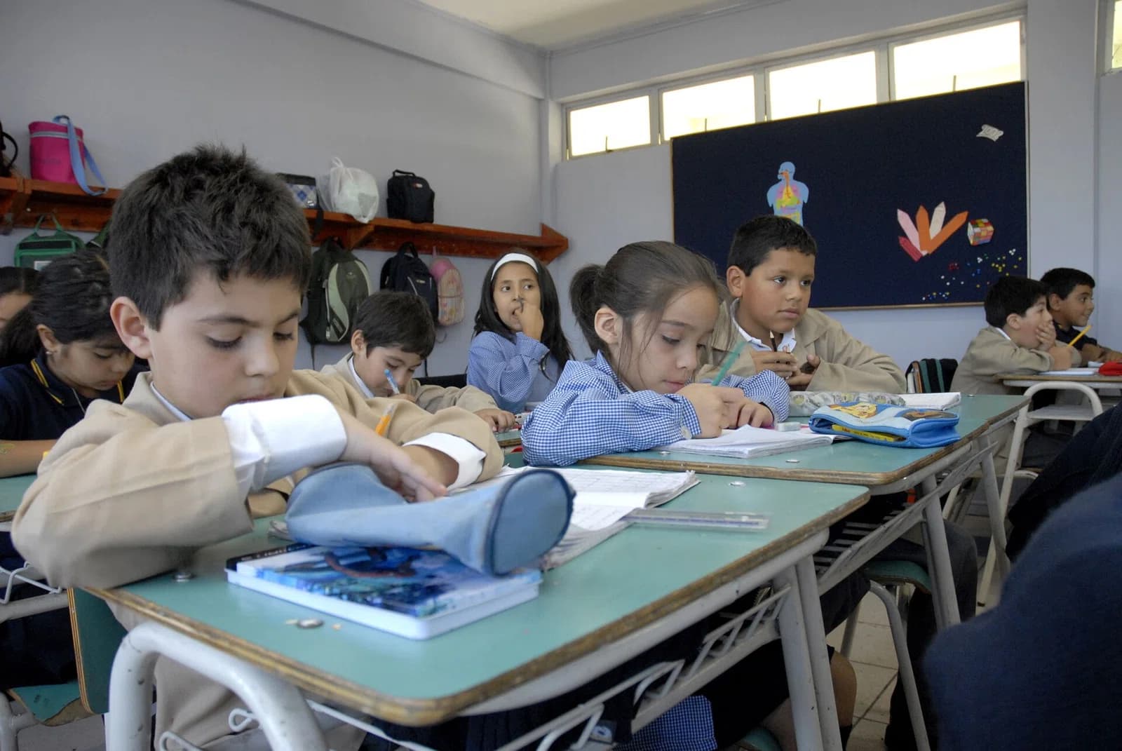 primary education