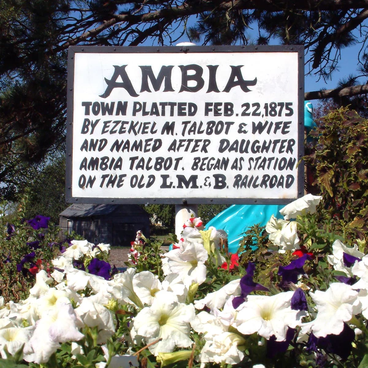 Ambia