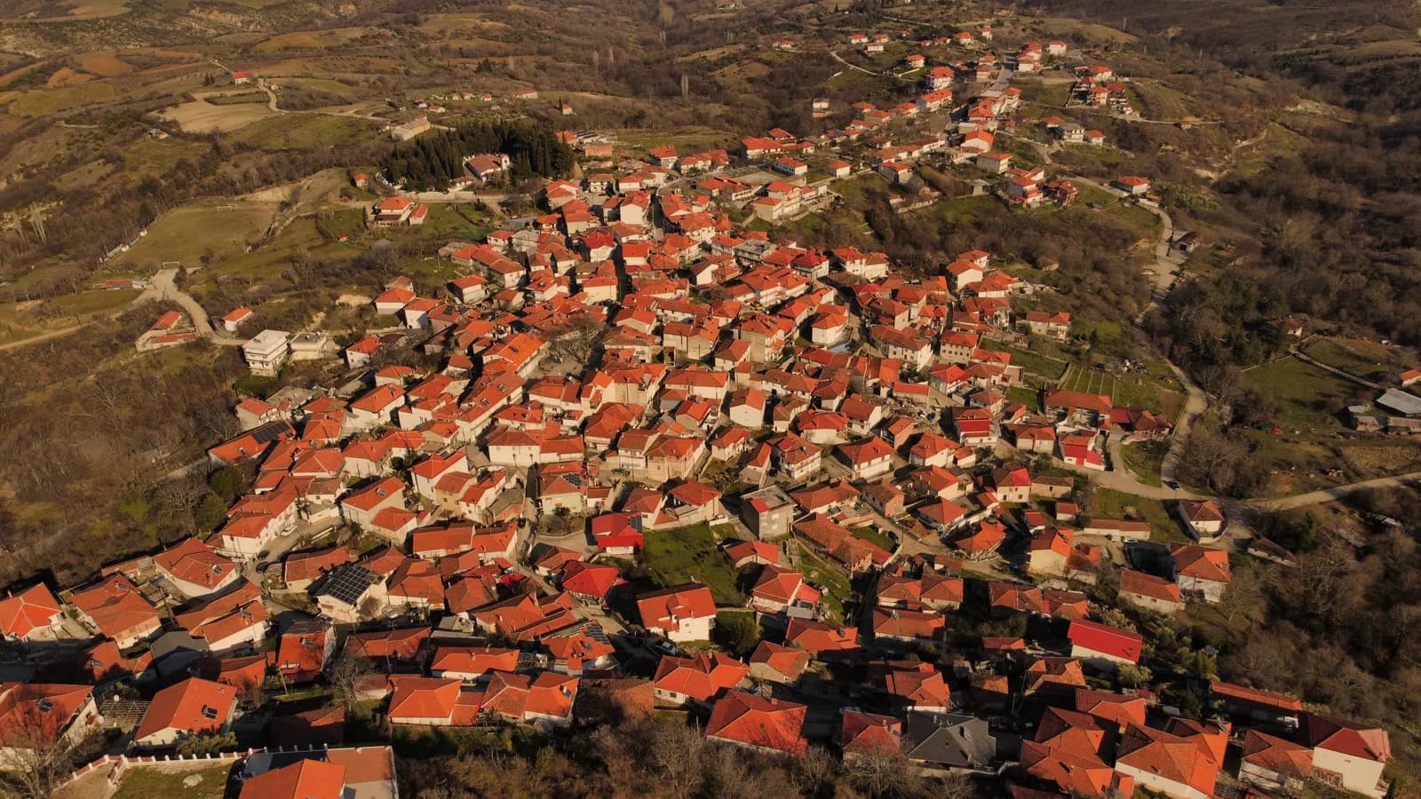 Griva