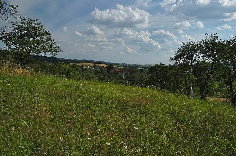 Uhřice