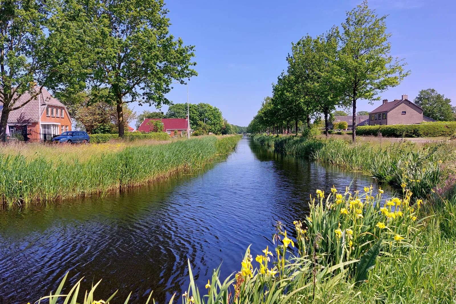 Frieschepalen