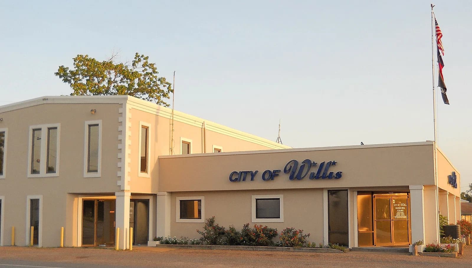 Willis
