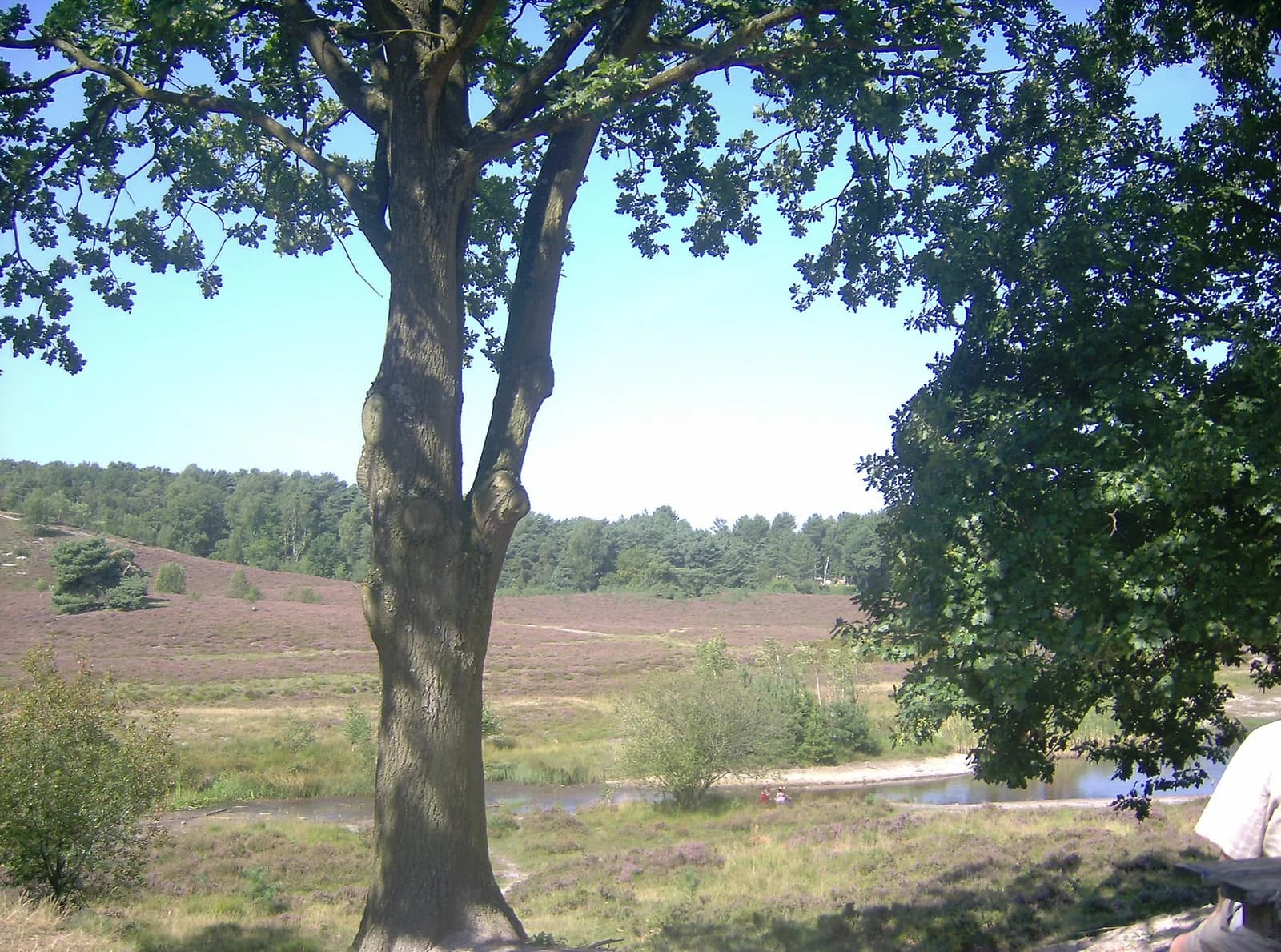 Brunssum