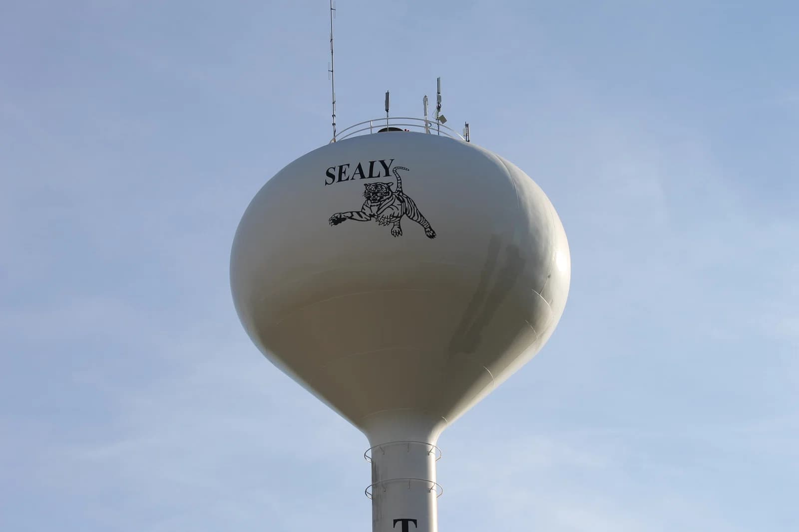 Sealy