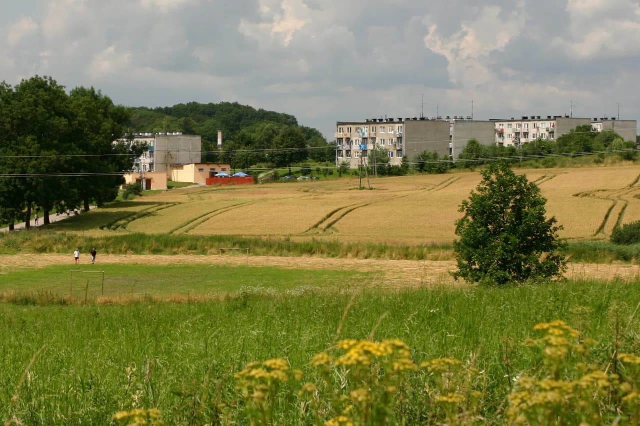 Wopławki