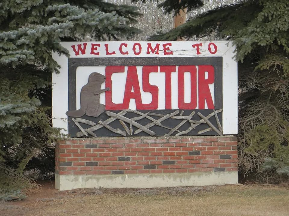 Castor