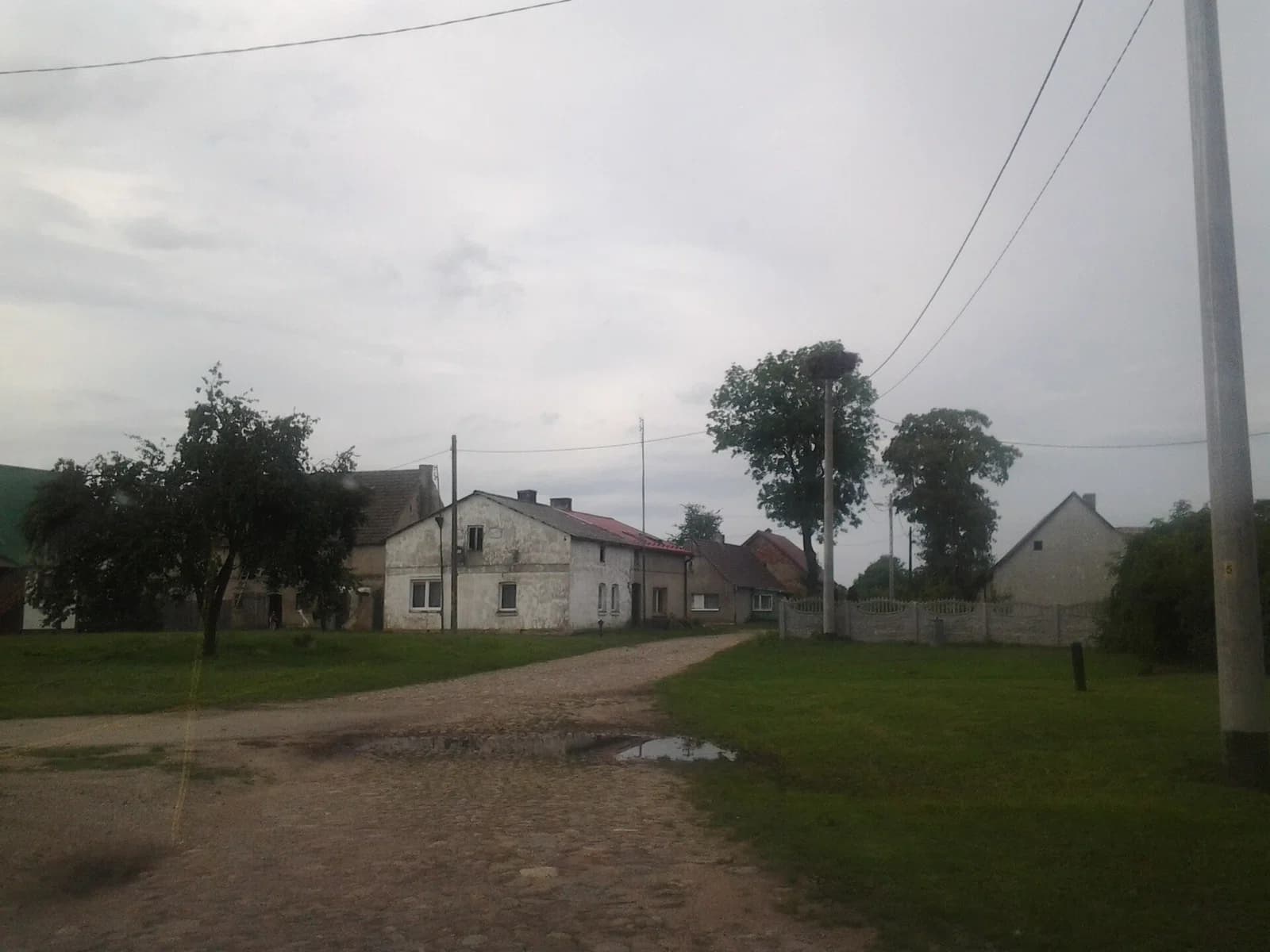 Ciemnik