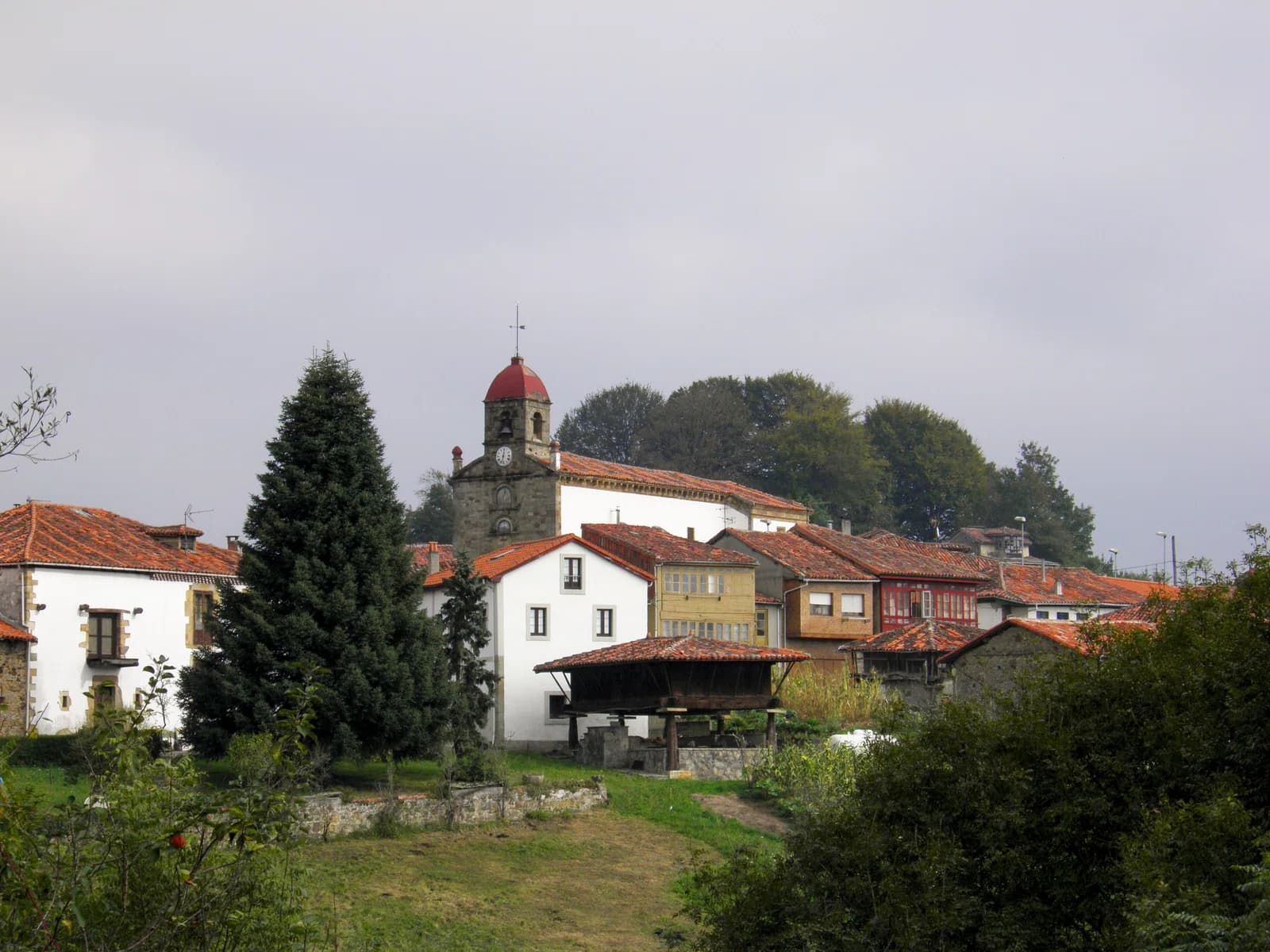 Torazu