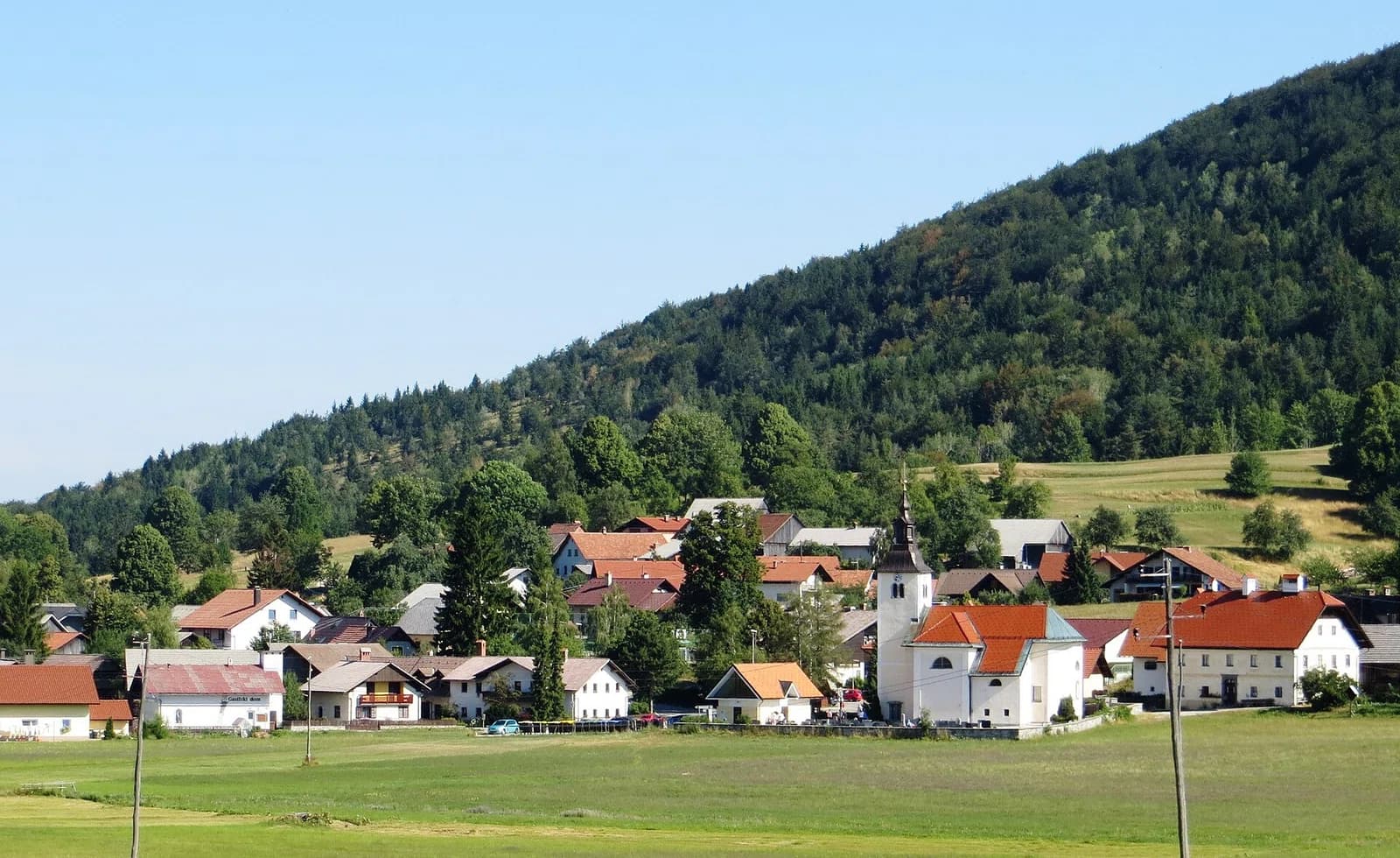 Rakitna