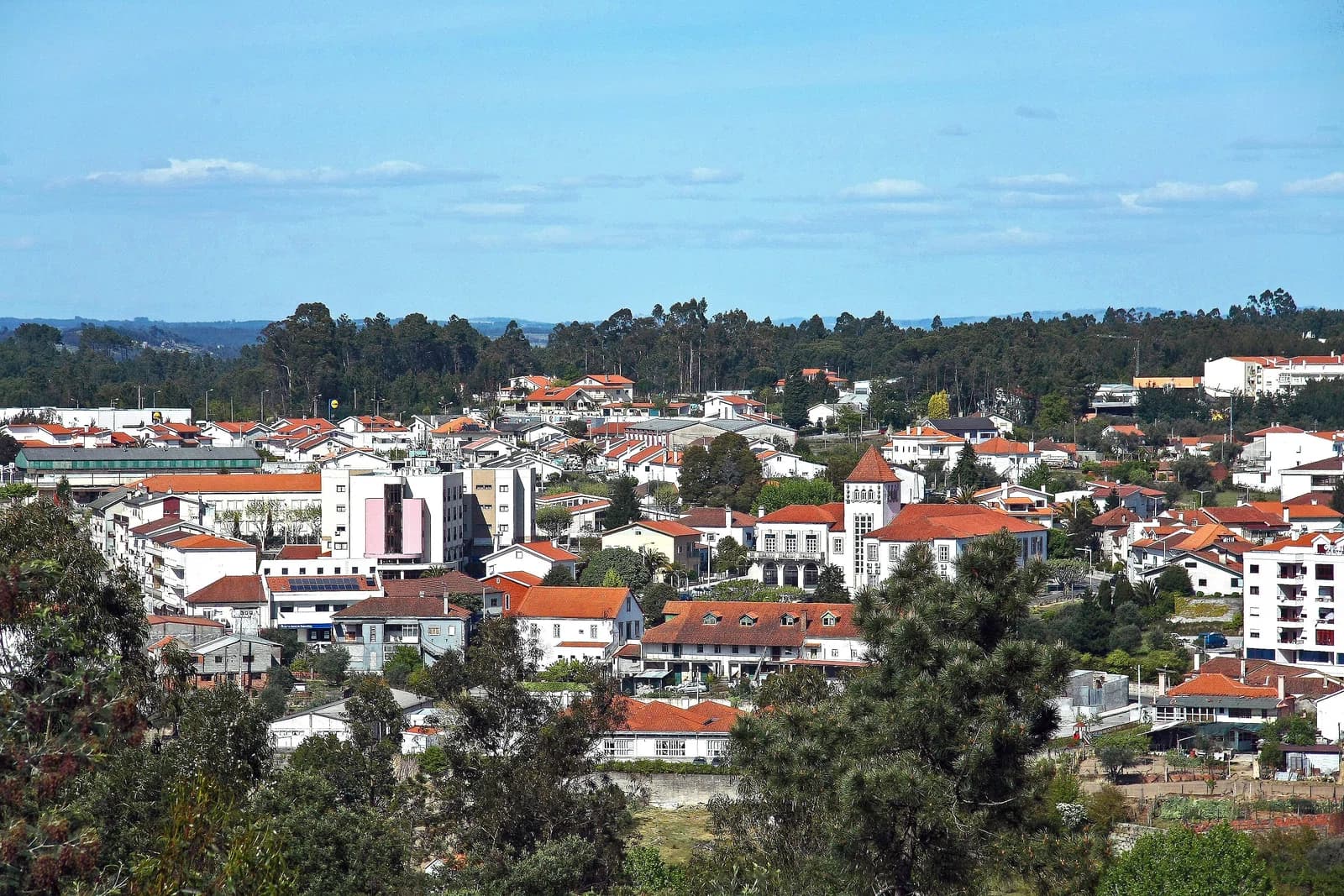 Tábua