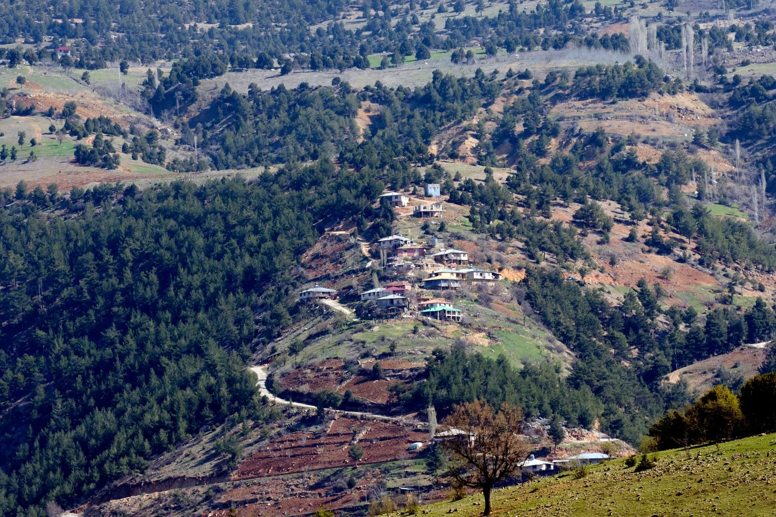 Yardibi
