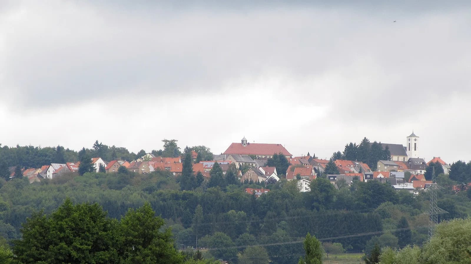 Frankenholz