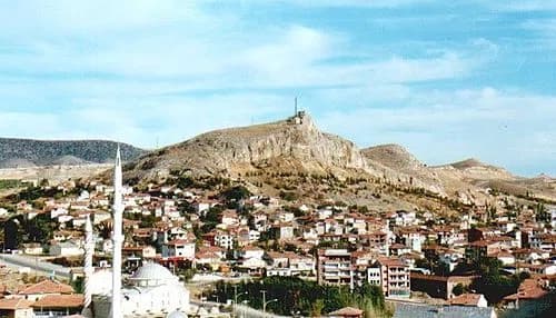 Hekimhan district