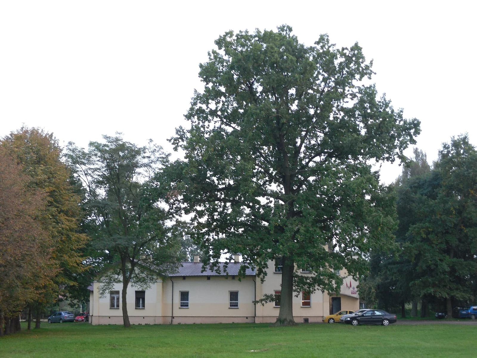 Halinów