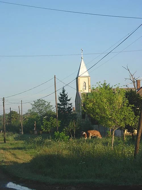 Crna Bara