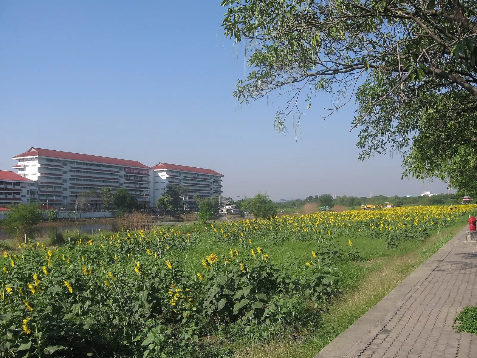 Lat Phrao