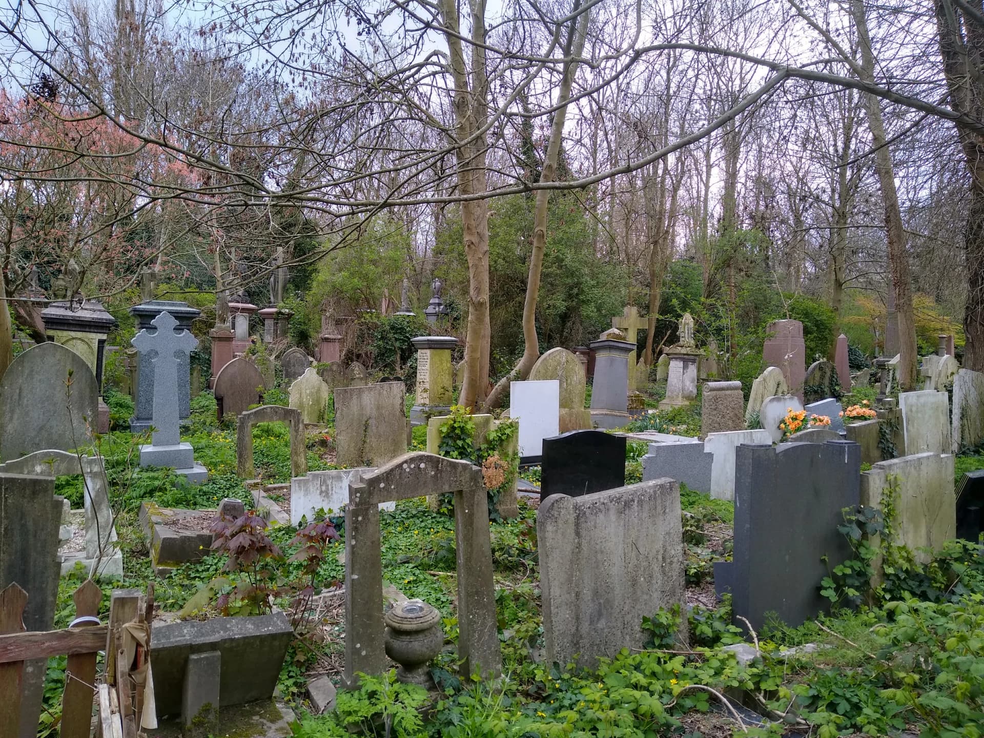 Abney Park Cemetery