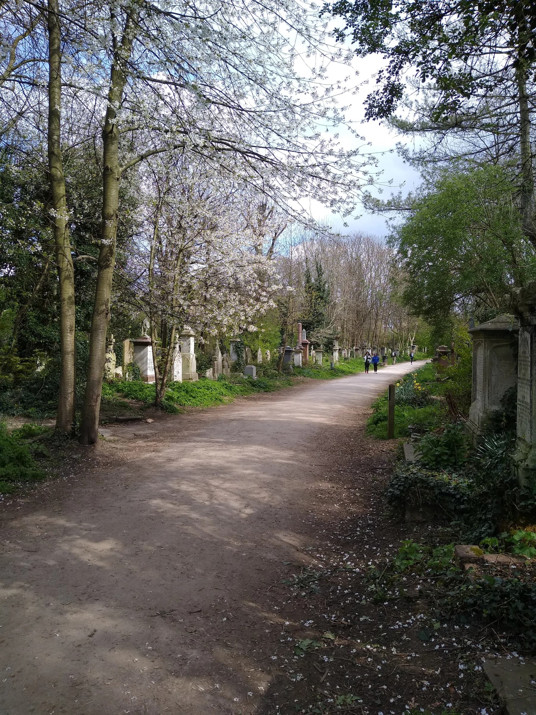Abney Park Cemetery