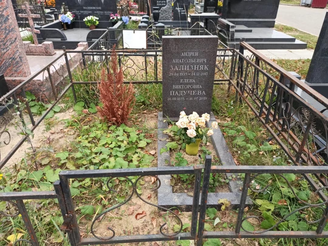 Troyekurovskoye cemetery