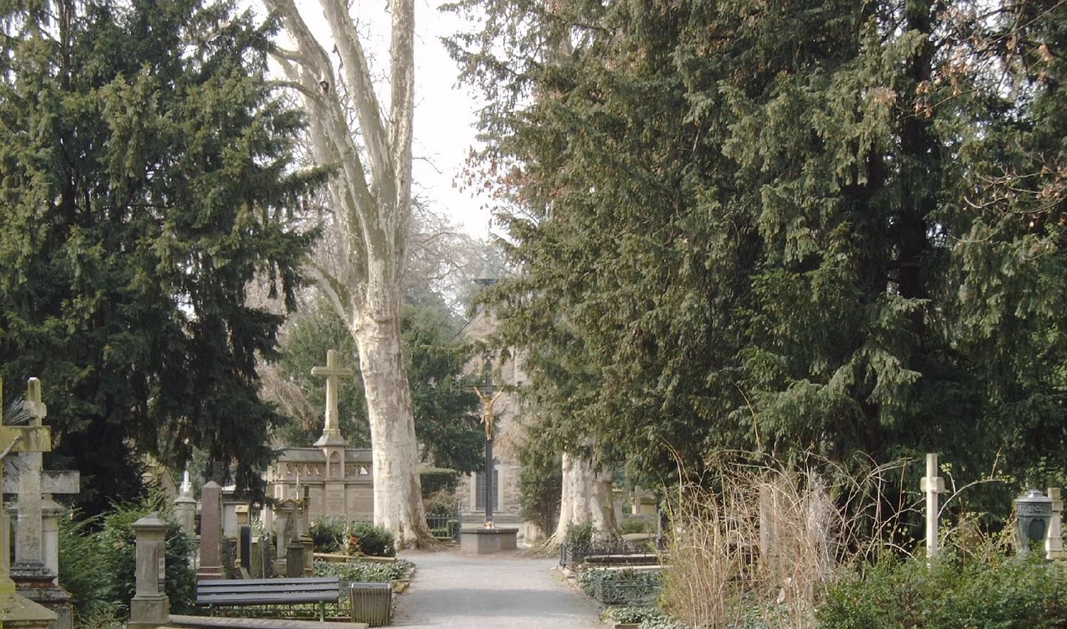 Alter Friedhof Bonn