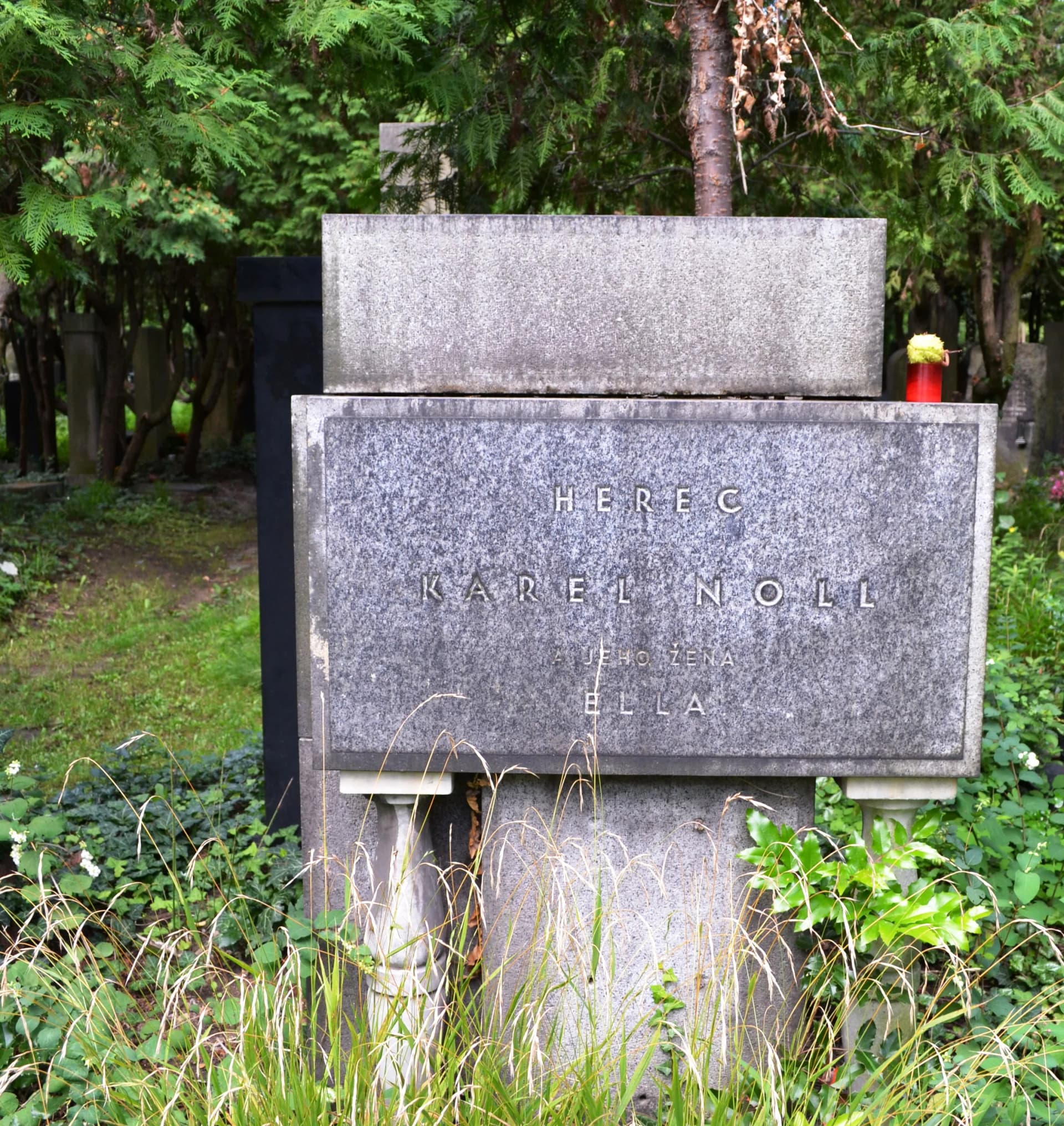 Friedhof Vinohrady