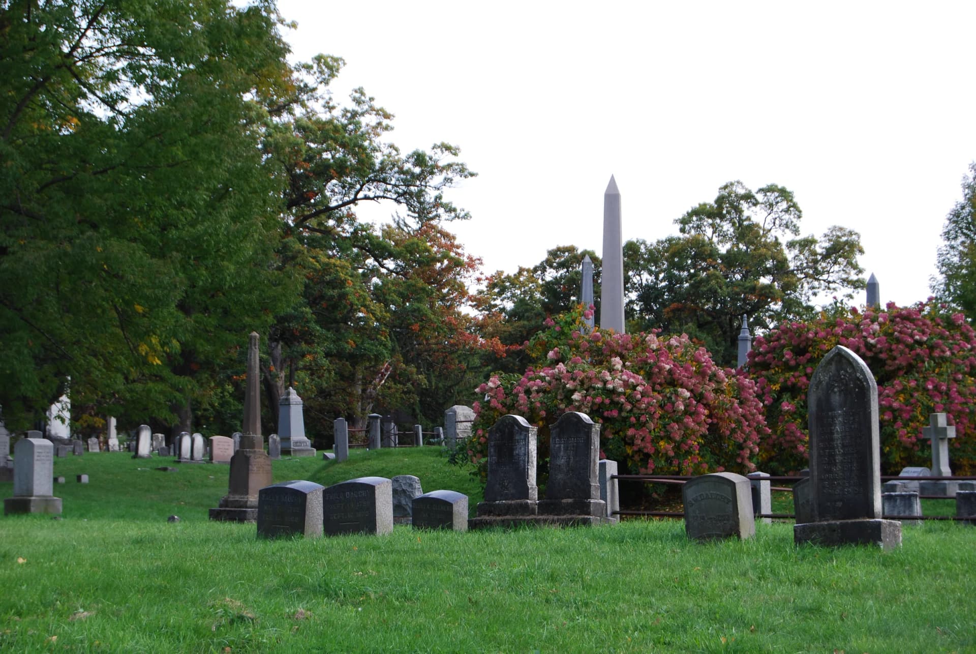 Oakwood Cemetery