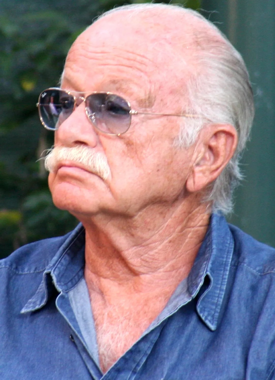 Portrait of Gino Paoli (1934–2026) – memorial page