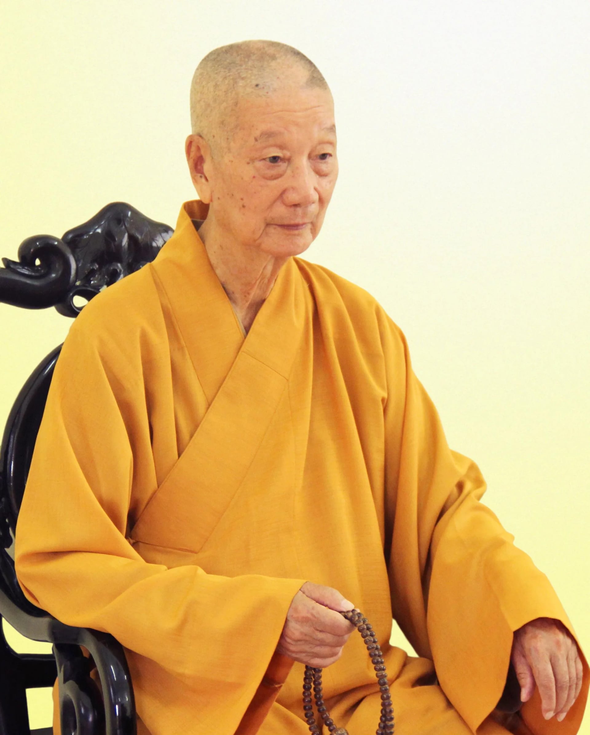 Portrait of Thich Tri Quang (1924–2019) – memorial page